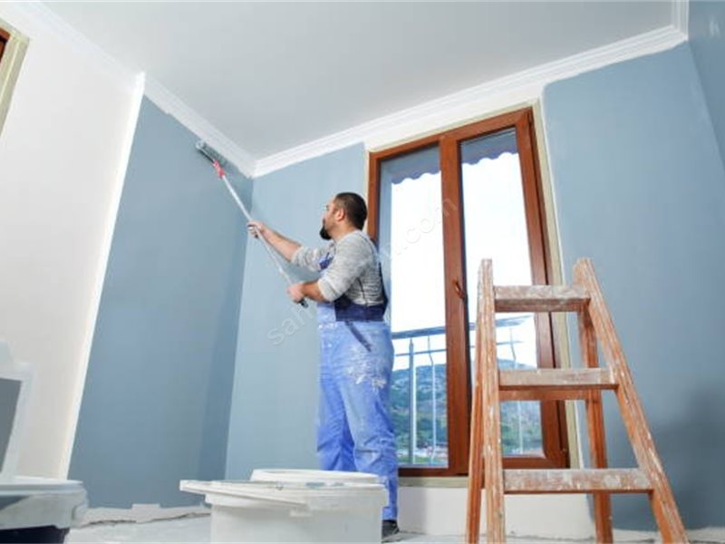 Sultanhisar Boya Badanacı